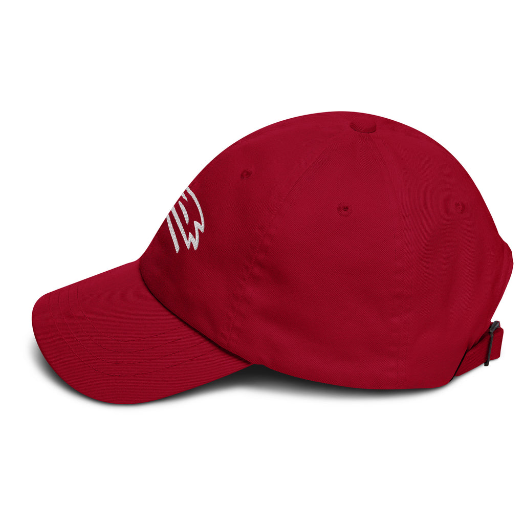 MountainStarGalaxy Dad Hat Cranberry