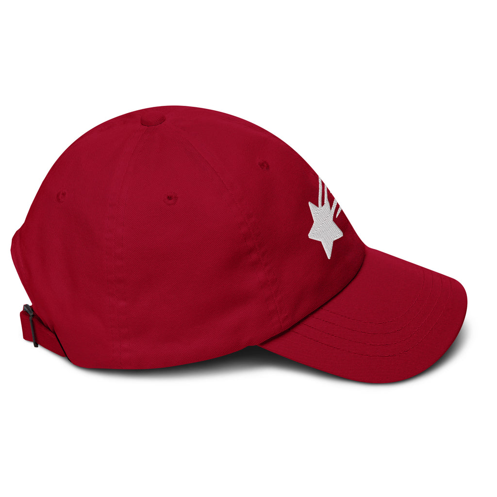 MountainStarGalaxy Dad Hat Cranberry