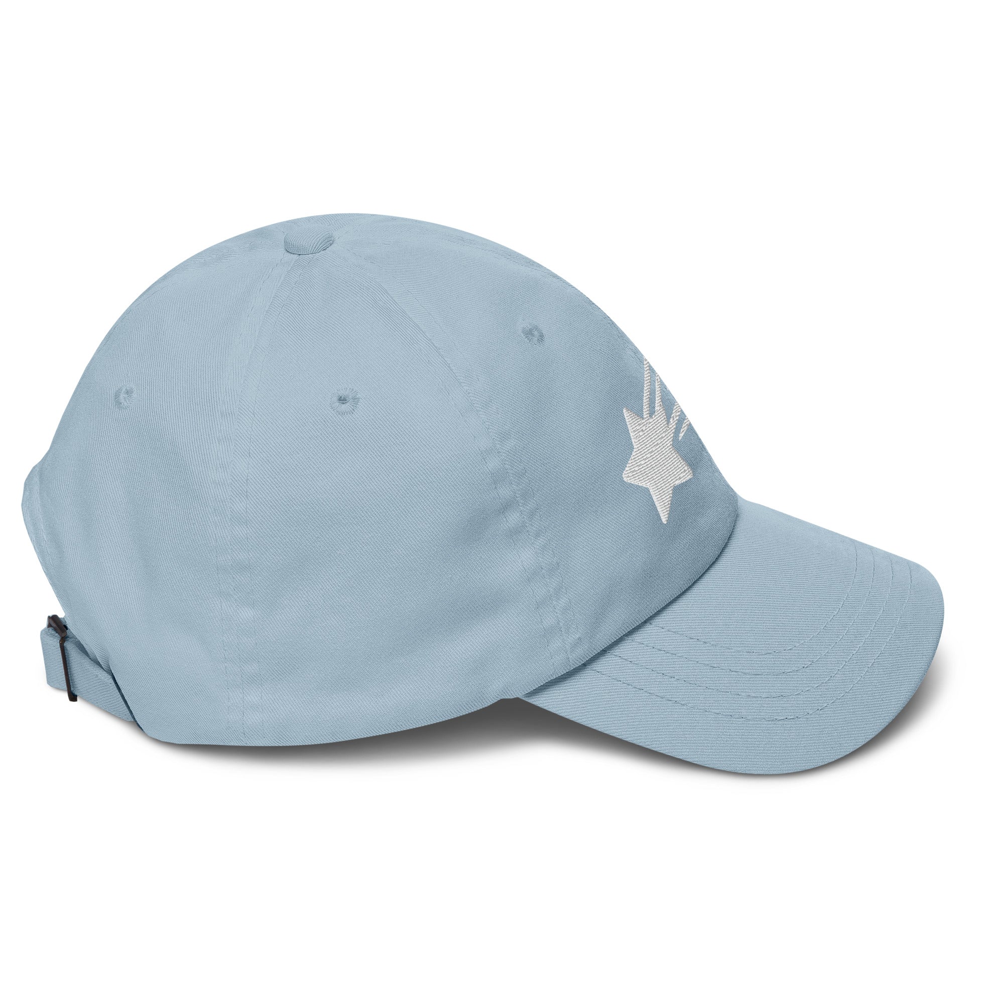 MountainStarGalaxy Dad Hat Light Blue