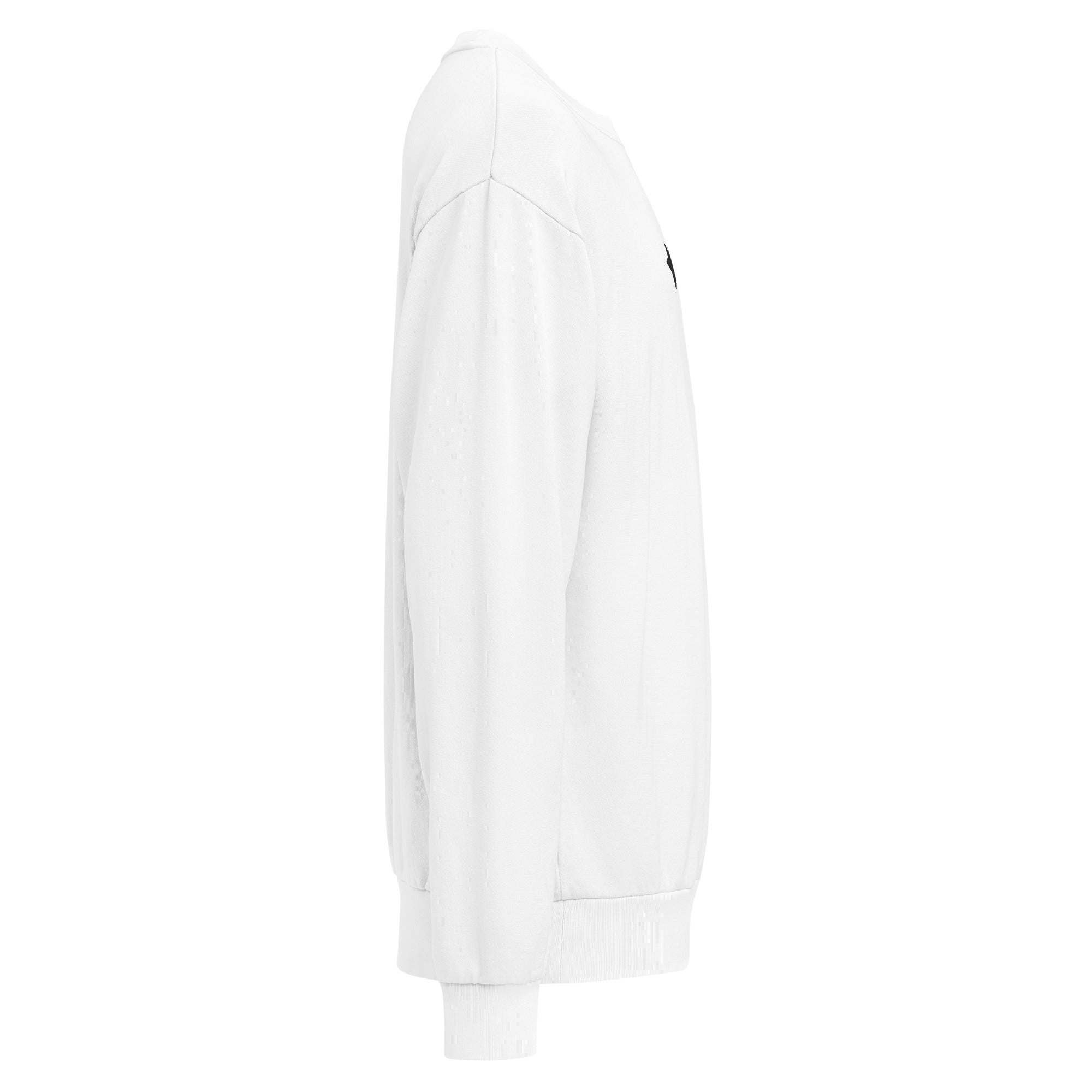 MountainStarGalaxy Unisex Urban Sweatshirt Lunar Rock