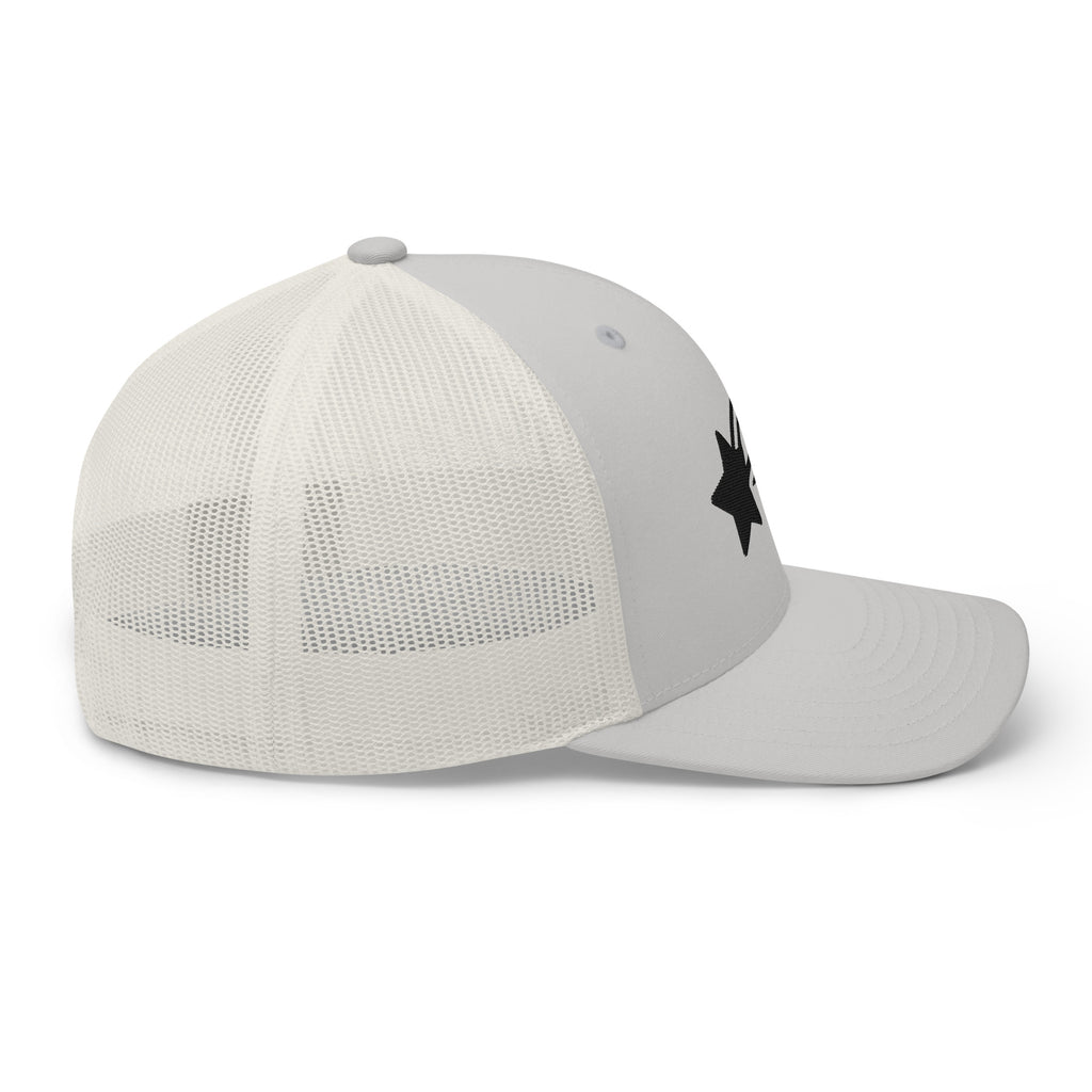 MountainStarGalaxy Trucker Hat White