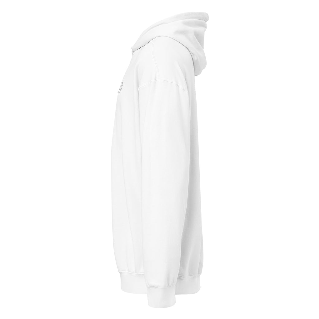 MountainStarGalaxy Unisex Garment-Dyed Lightweight Hoodie White