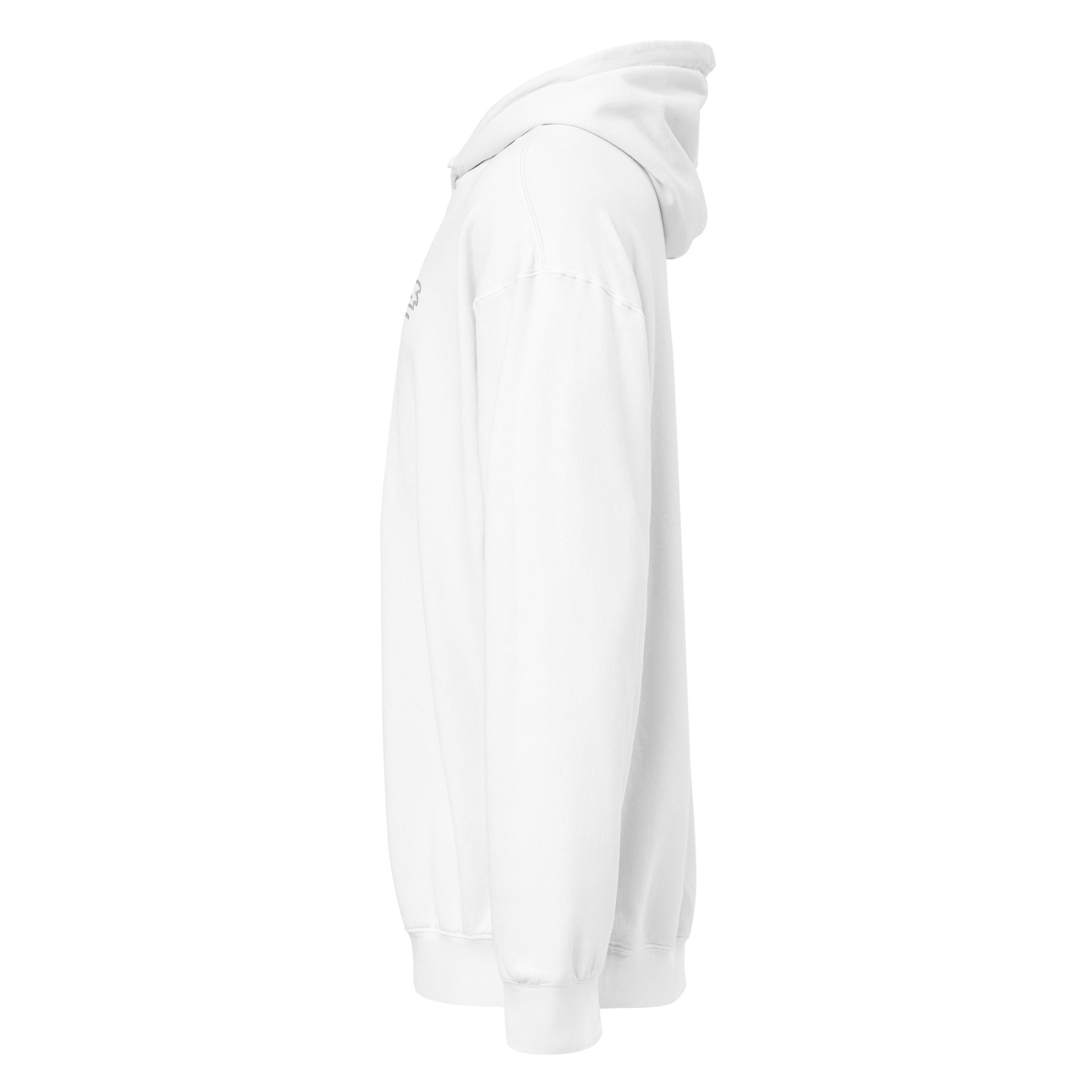MountainStarGalaxy Unisex Garment-Dyed Lightweight Hoodie White